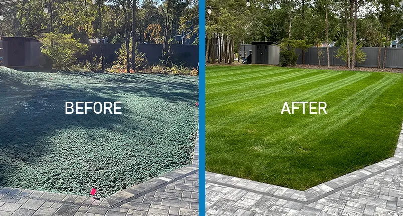 Knoxville Hydroseeding