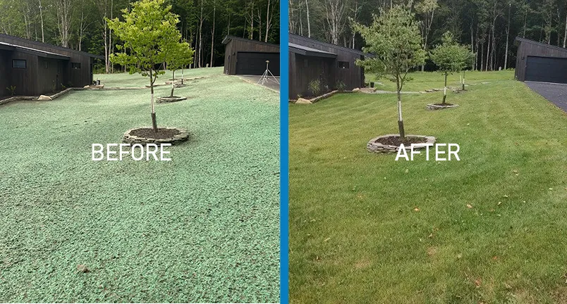 East TN Hydroseeding