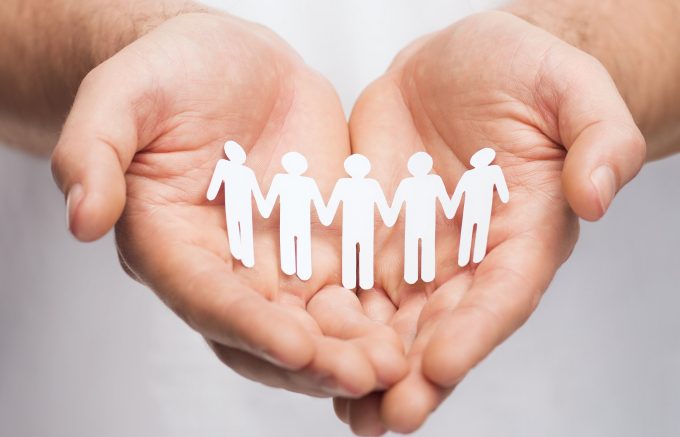 Misty forest with rocky riverbed and tall trees