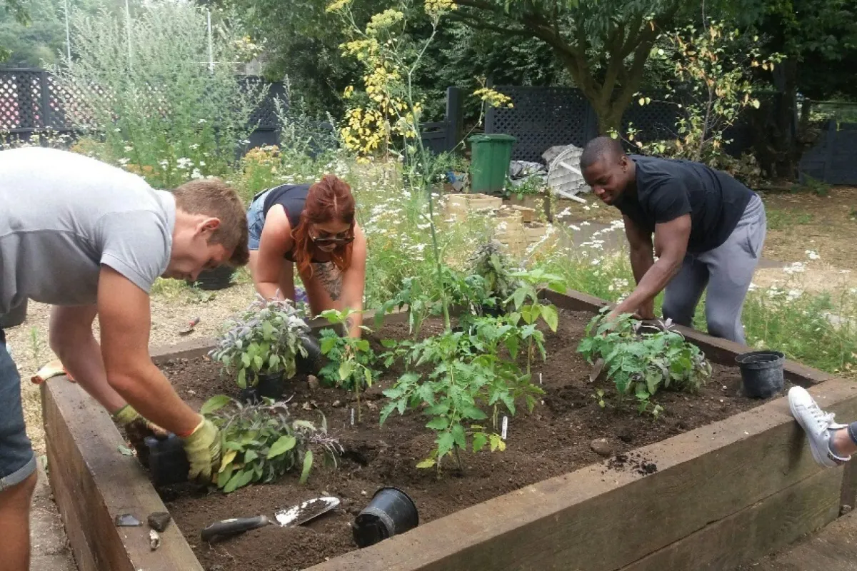 Landscaping Maldon