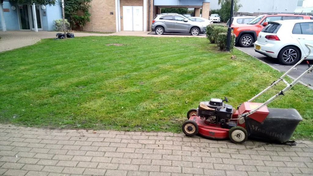 Driveways 