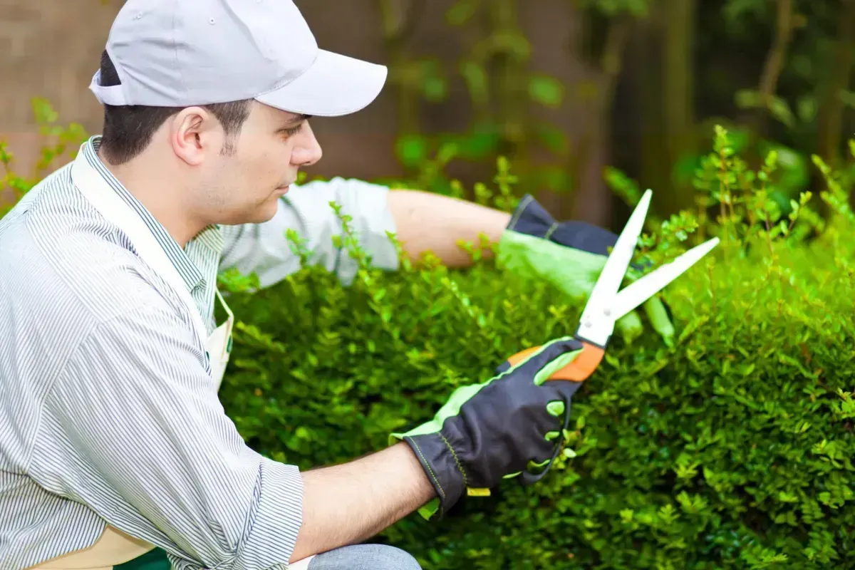 Lawn & Garden Care in Maldon