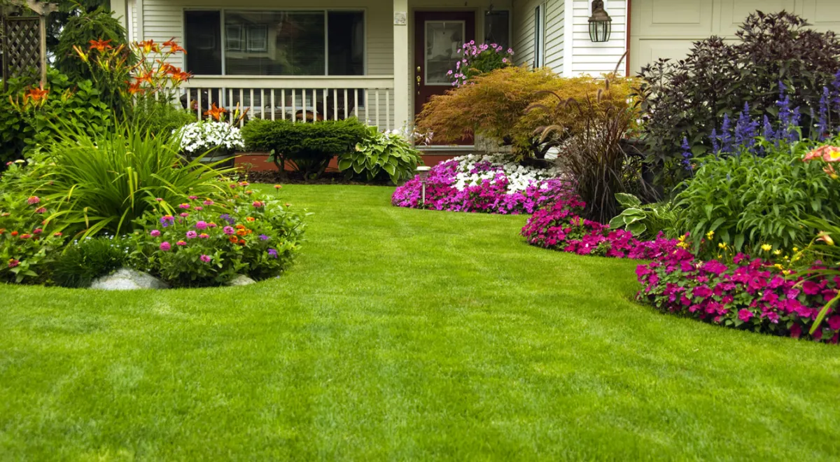 Chelmsford Landscaping