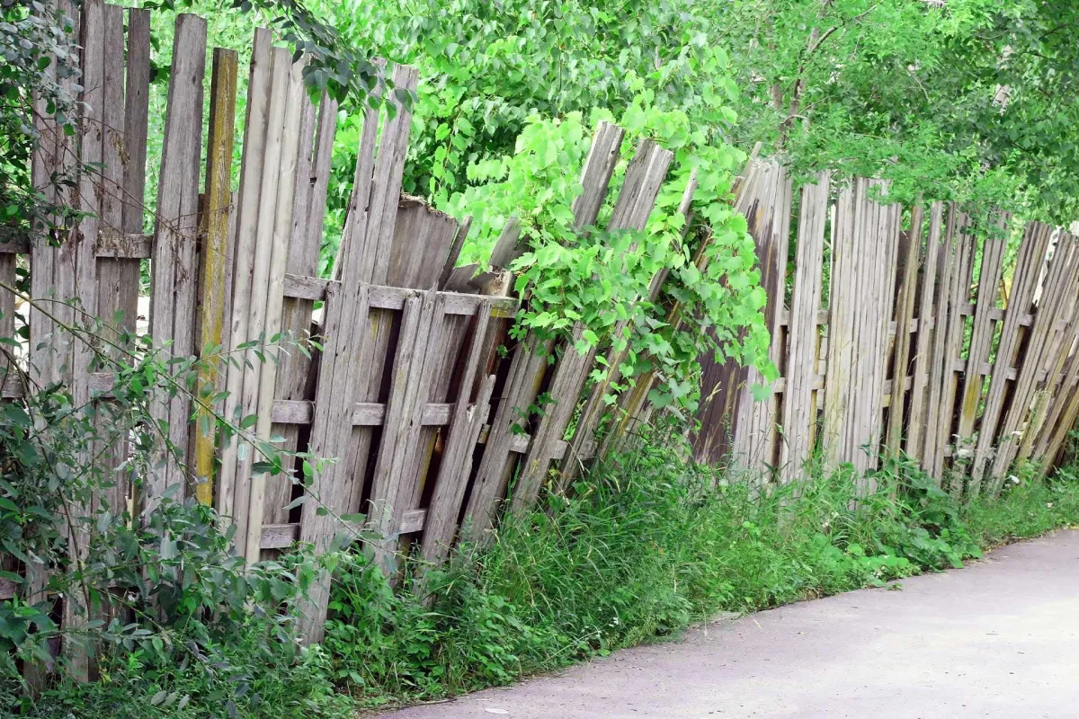 Chelmsford Fencing