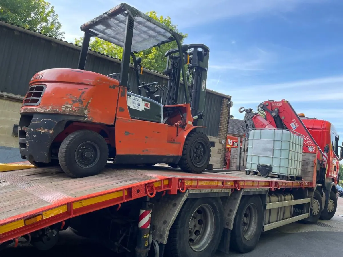 Tree & Stump Removal Maldon