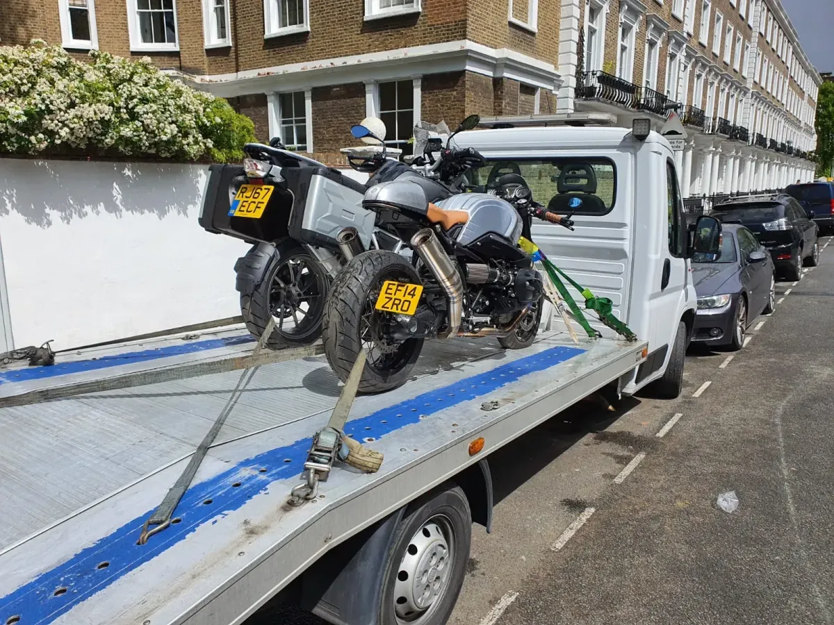 Maldon Fencing