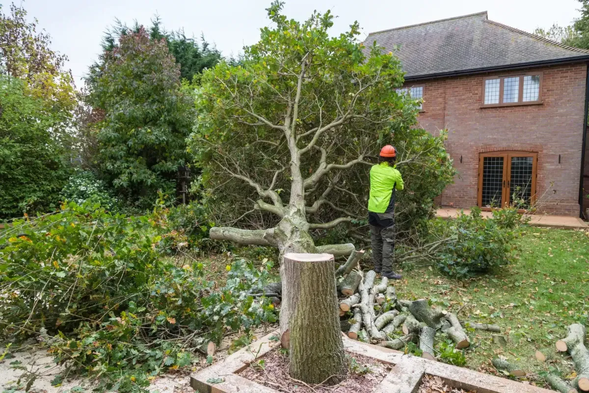 Landscaping Maldon