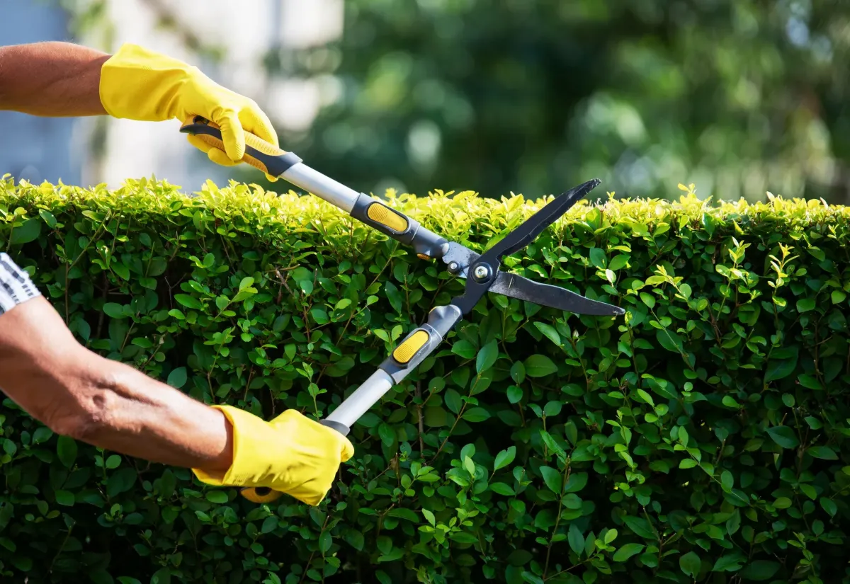 Chelmsford Landscaping