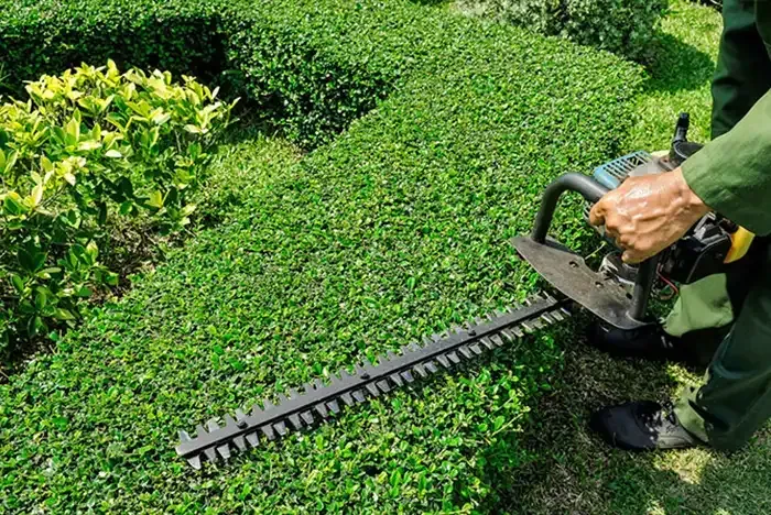 Landscaping 