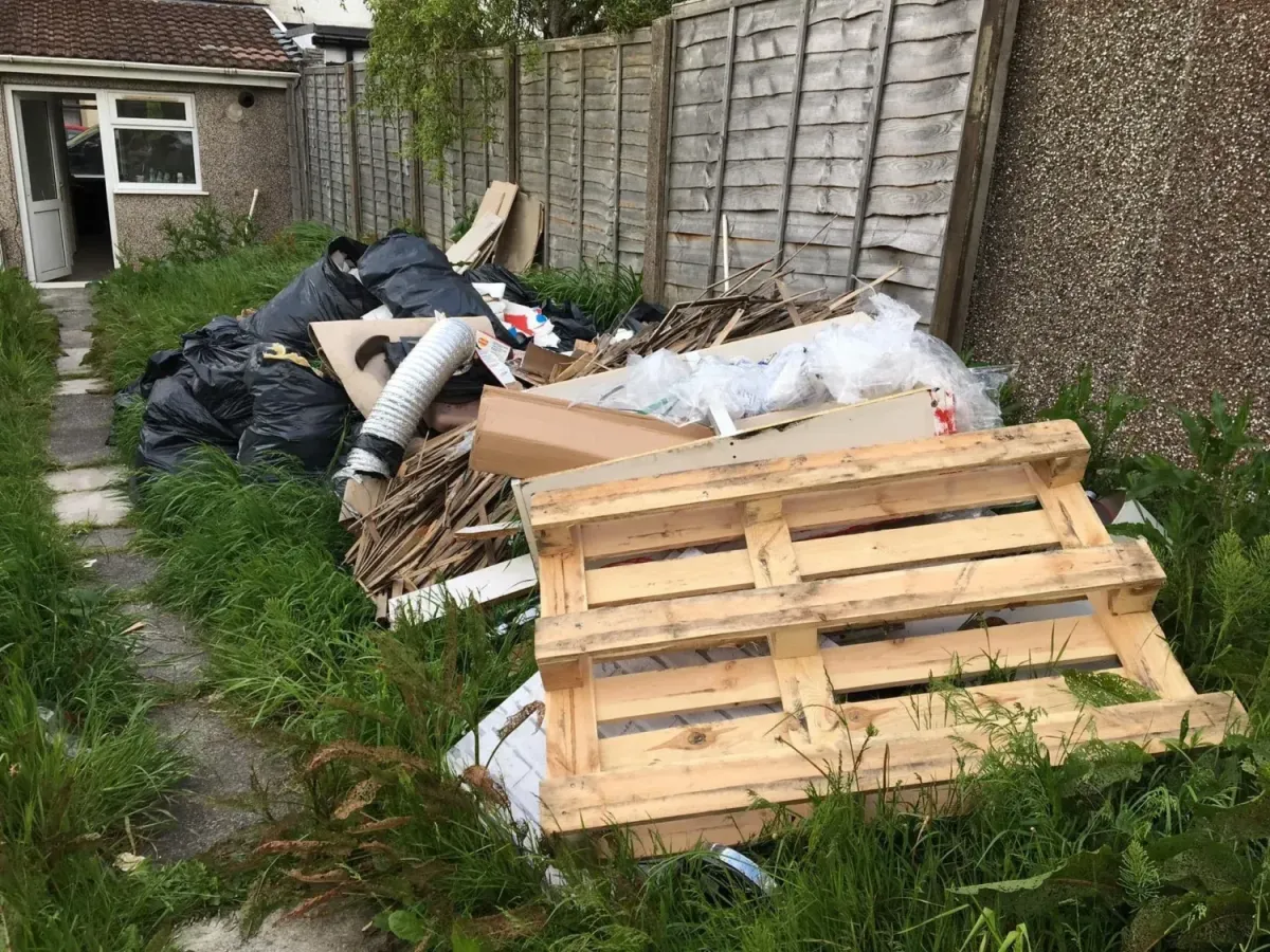 Tree & Stump Removal 