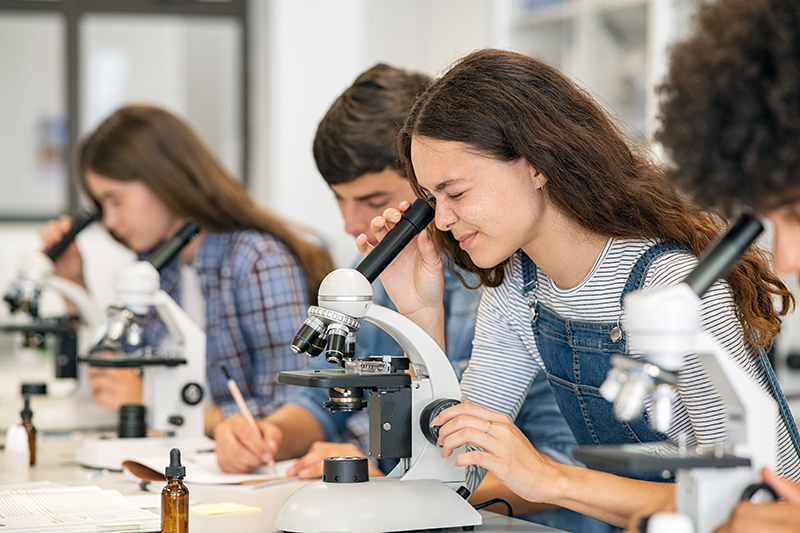 The highest-paying college majors in 2022, ranked