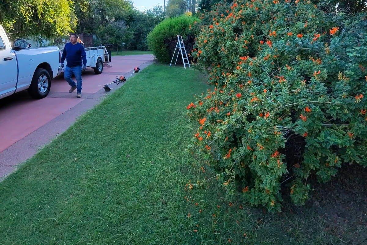 Yard Clean Ups in 