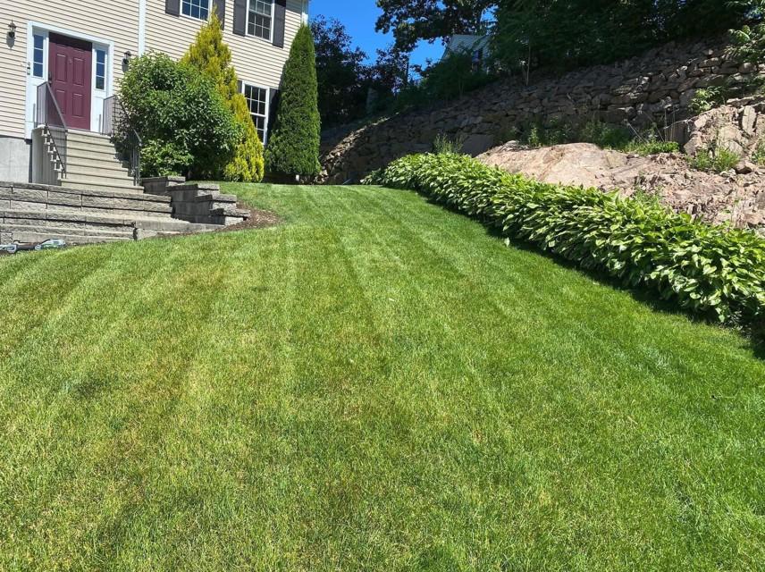 Freshly mowed front yard with colorful plants and small trees near a Boston home