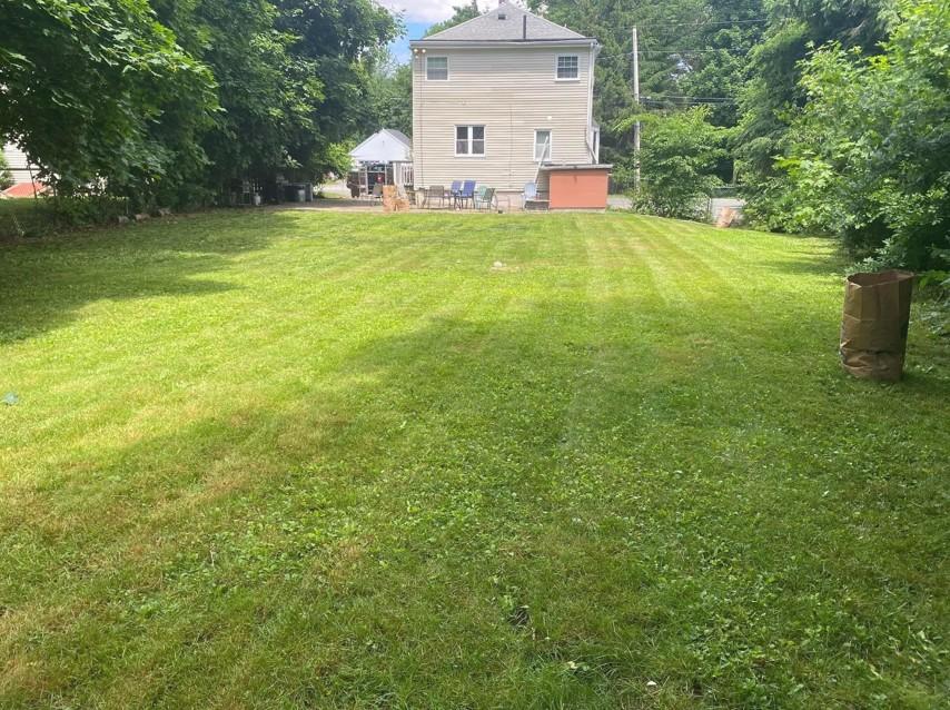 Nicely mowed backyard with vibrant green grass and clear edges