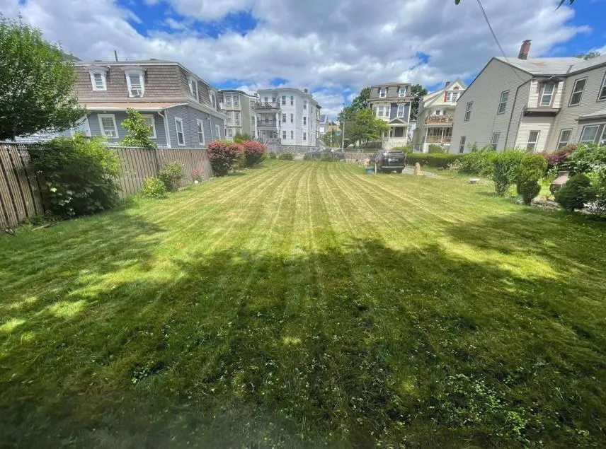 Lush green lawn freshly mowed surrounded by homes in a Boston neighborhood