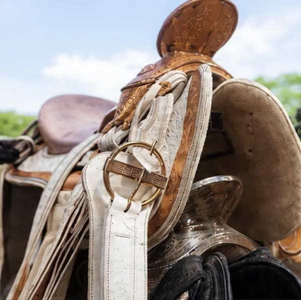 Premium tack room interior