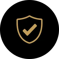 Fully licensed and insured Cleveland limo service - LH3 luxury transportation safety