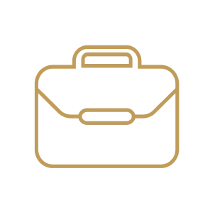 Professional chauffeur Cleveland luxury limo - expert drivers party bus service