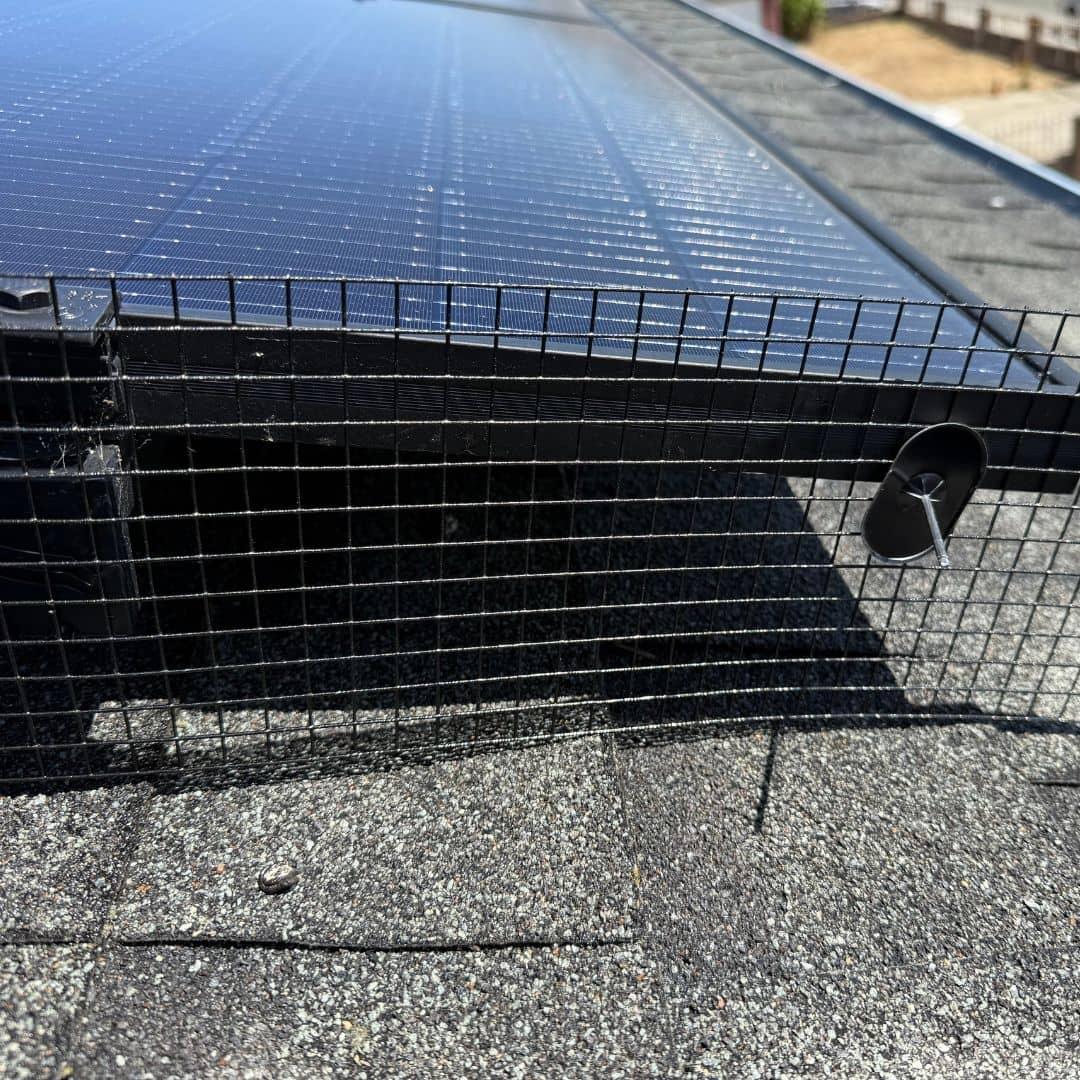 Solar panel bird proofing mesh installation pest protection residential Solano County Teodor Window Solar Cleaning