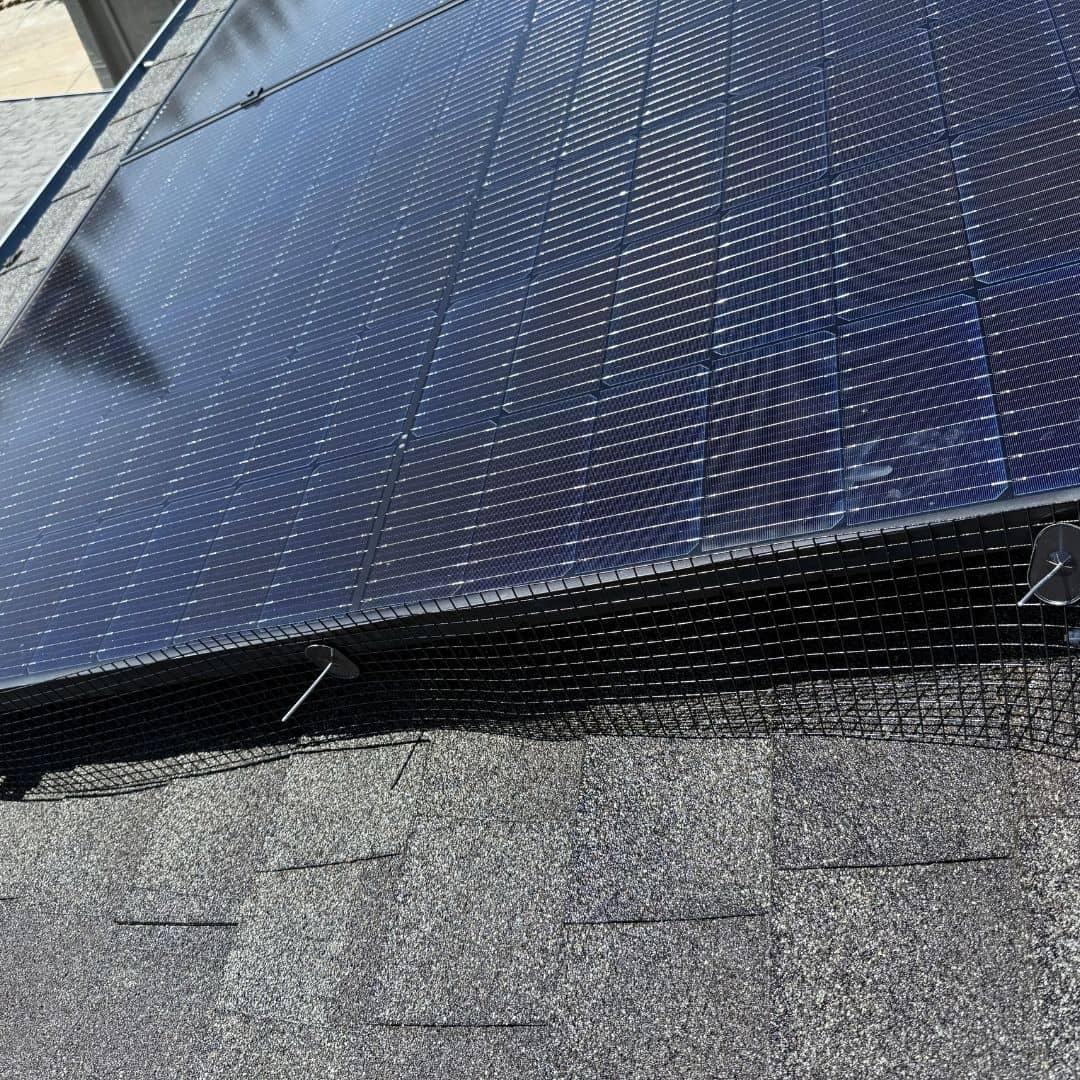 Solar panel bird proofing mesh barrier installation preventing nest damage Solano County Teodor Window Solar Cleaning