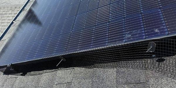 Solar panel bird proofing mesh barrier installation preventing nest damage Solano County Teodor Window Solar Cleaning