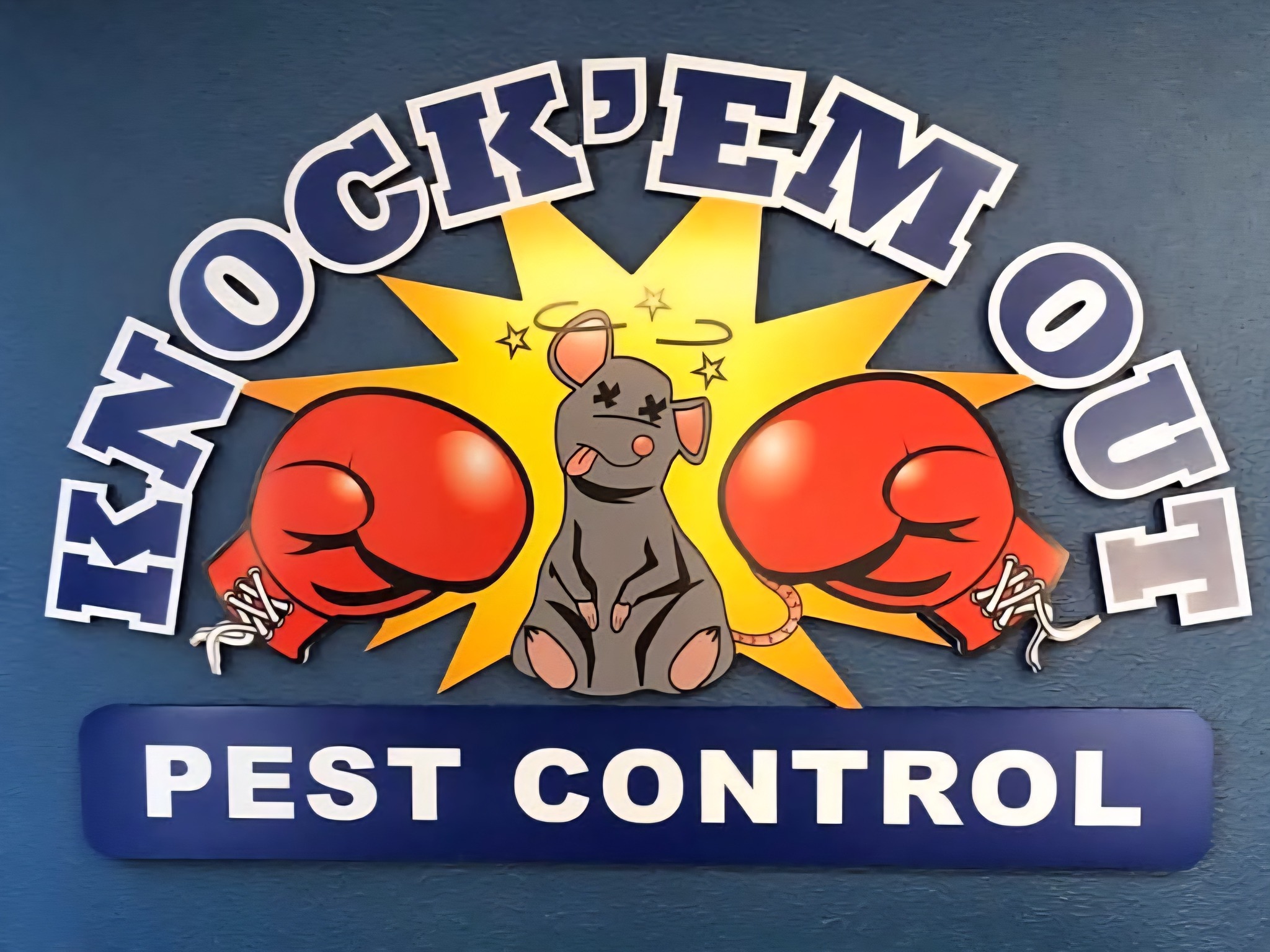 Professional residential window cleaning Victorian home San Francisco Bay Area Teodor Window Solar Cleaning service