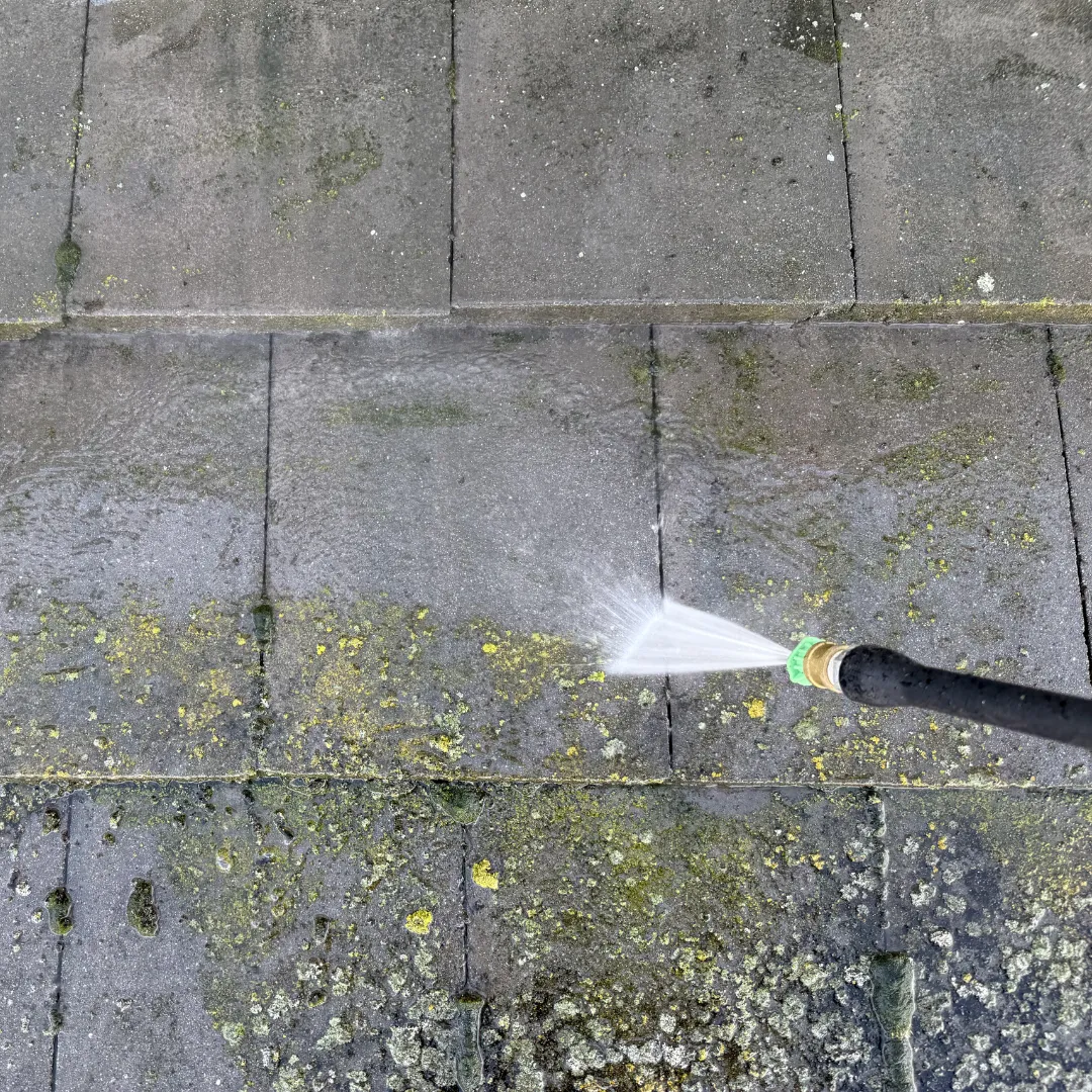 Solar panel bird proofing mesh installation pest protection residential Solano County Teodor Window Solar Cleaning