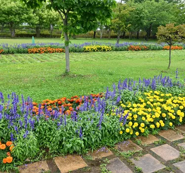 Flower Bed Installation