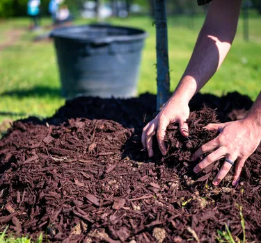 Mulch Installation
