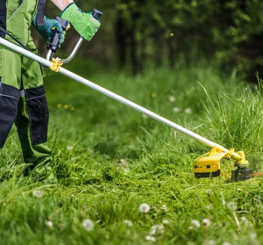 Lawn Care