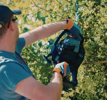 Trimming & Cutting Trees