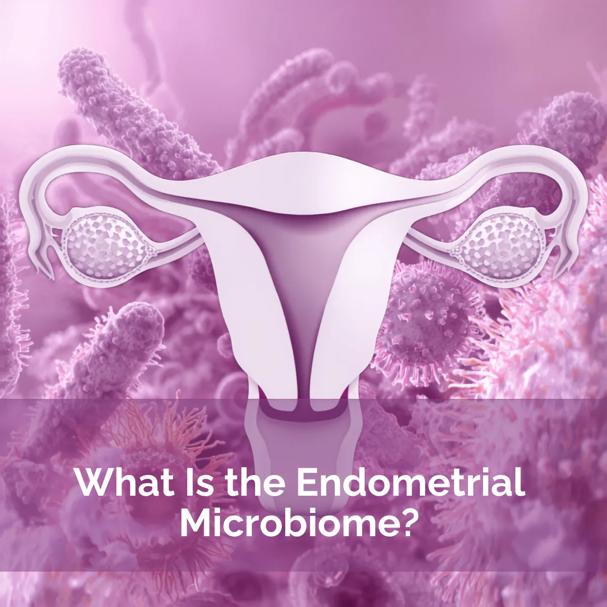 What Is the Endometrial Microbiome? | IVF Monitoring LV