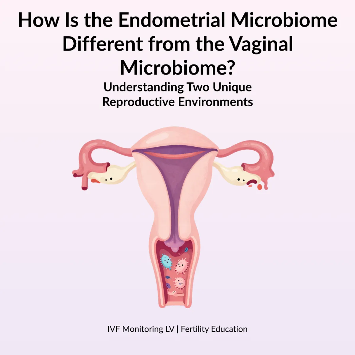 How Is the Endometrial Microbiome Different from the Vaginal Microbiome?
