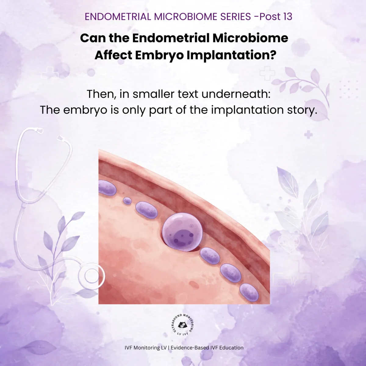 embryo implantation