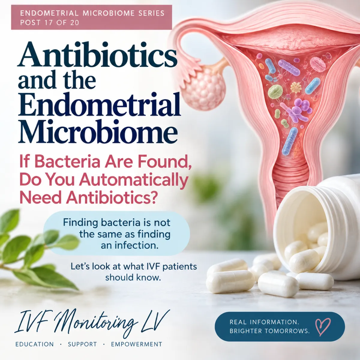 Antibiotics and the Endometrial Microbiome