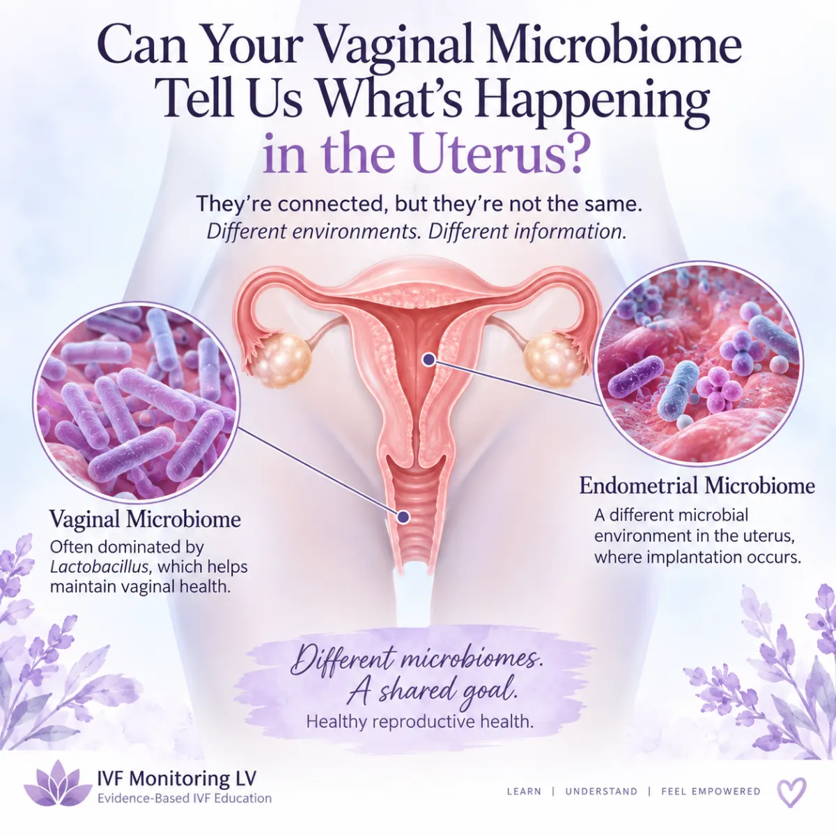 Is there other microbiomes?