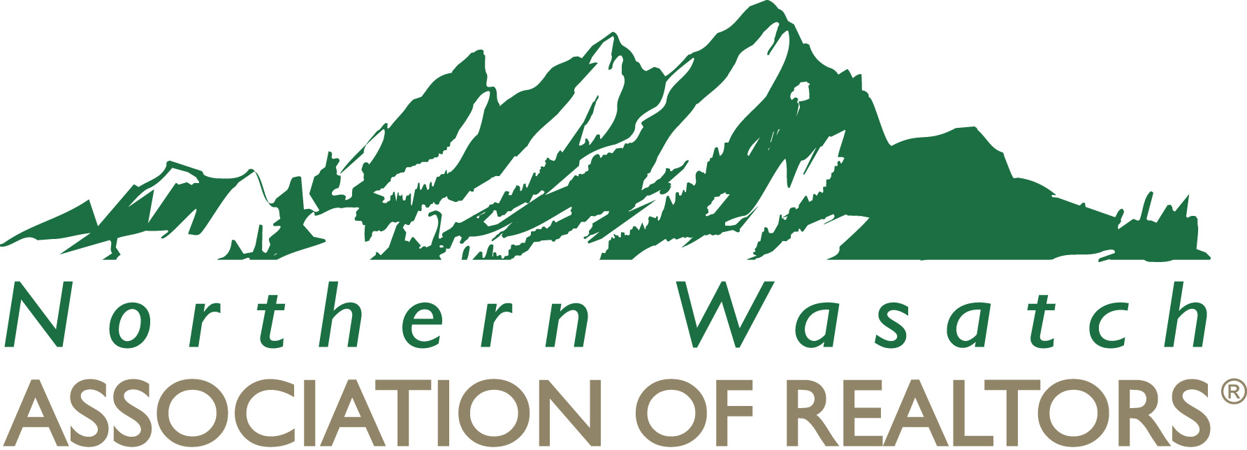 Radar Skis Logo