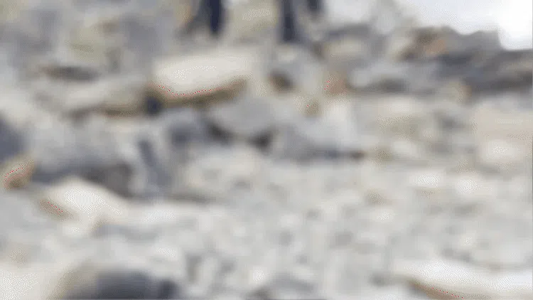 Course Feature, people hiking