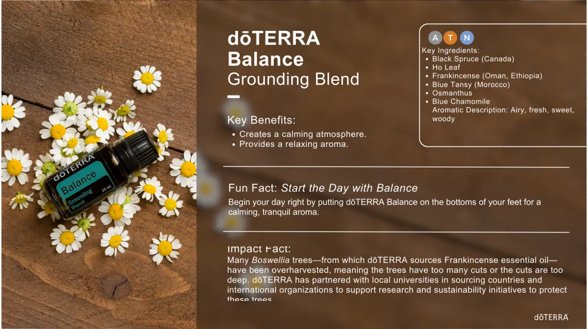 Balance essential oil bottle – grounding blend for emotional steadiness and seasonal transitions