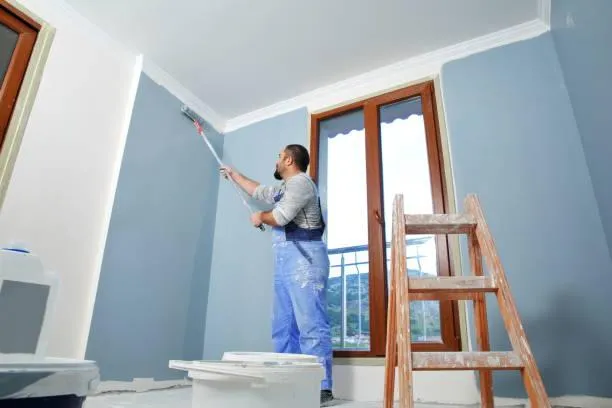  Carpet Cleaning
