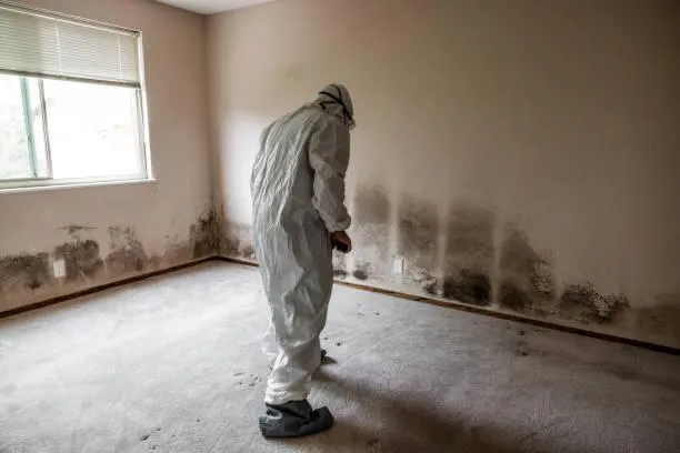  Carpet Cleaning