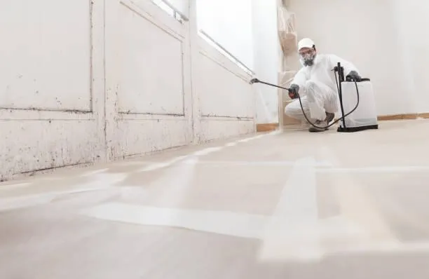  Heated Power Washing