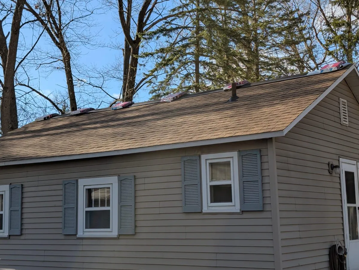 Mold and mildew removal Prudenville