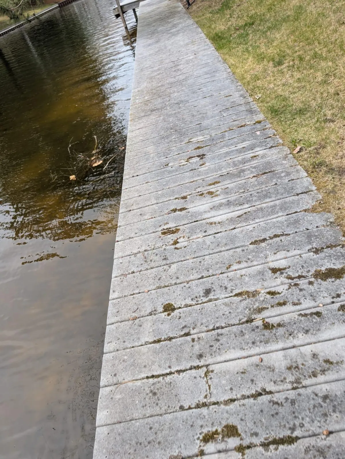 Houghton Lake Heights Mold and mildew removal