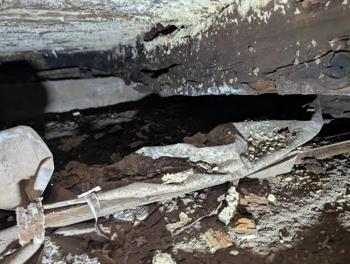 Houghton Lake Mold and mildew removal
