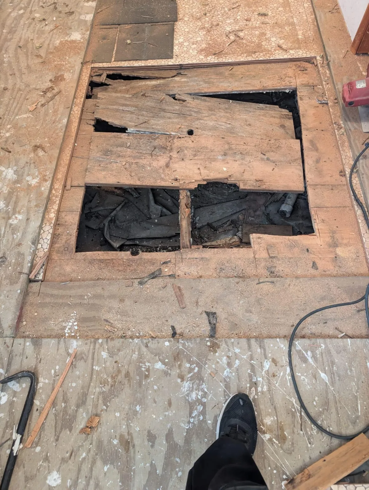 Mold and mildew removal Prudenville