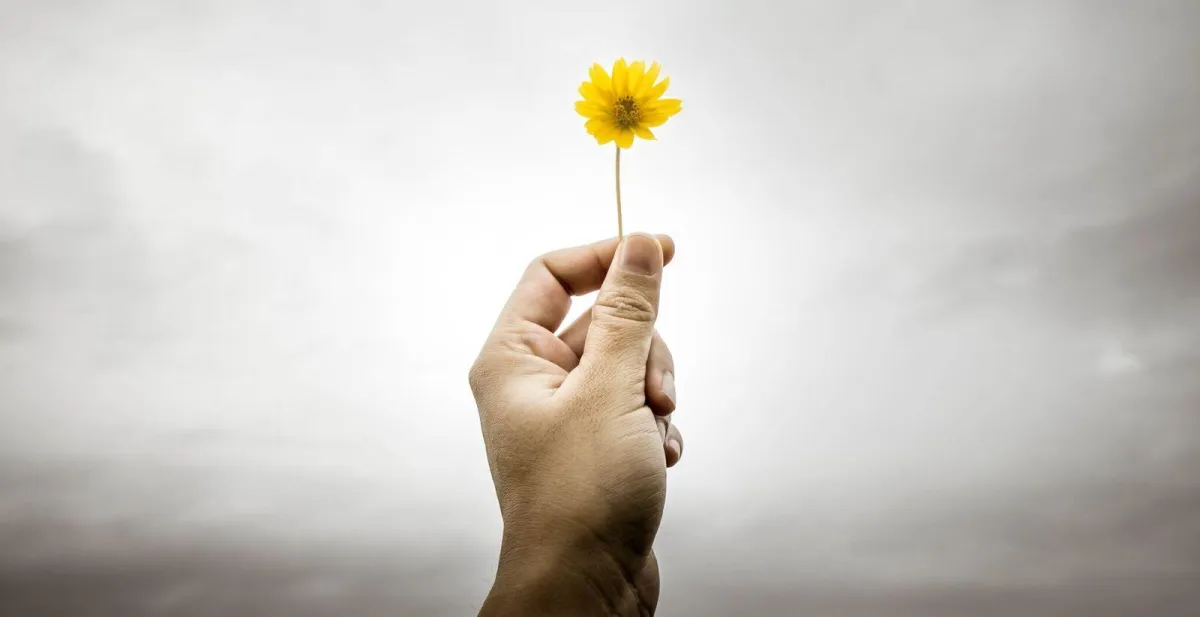 Renewed Hope