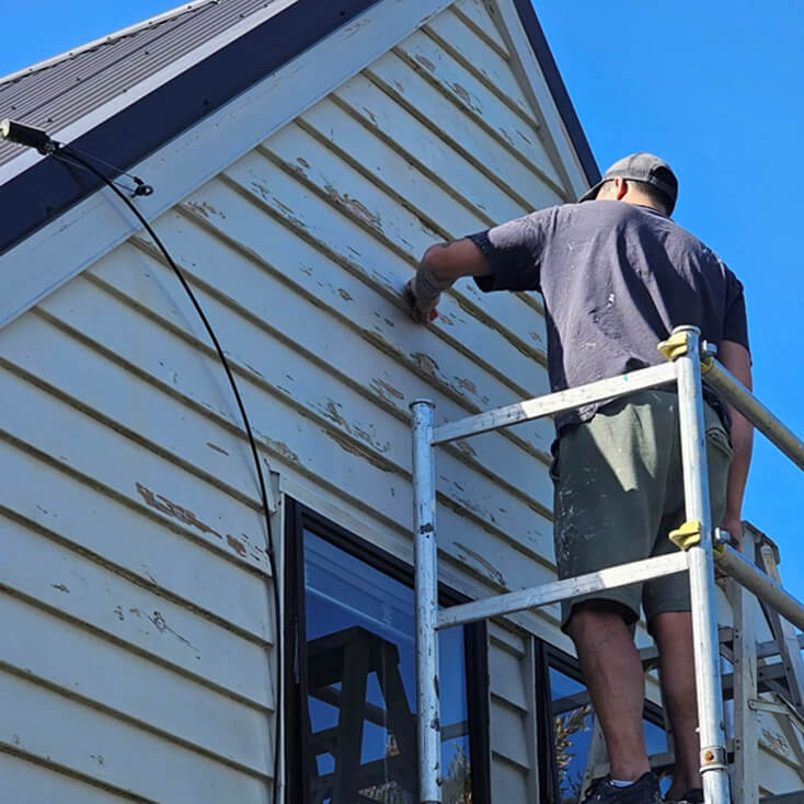 Exterior house painting and weatherboard protection in Auckland