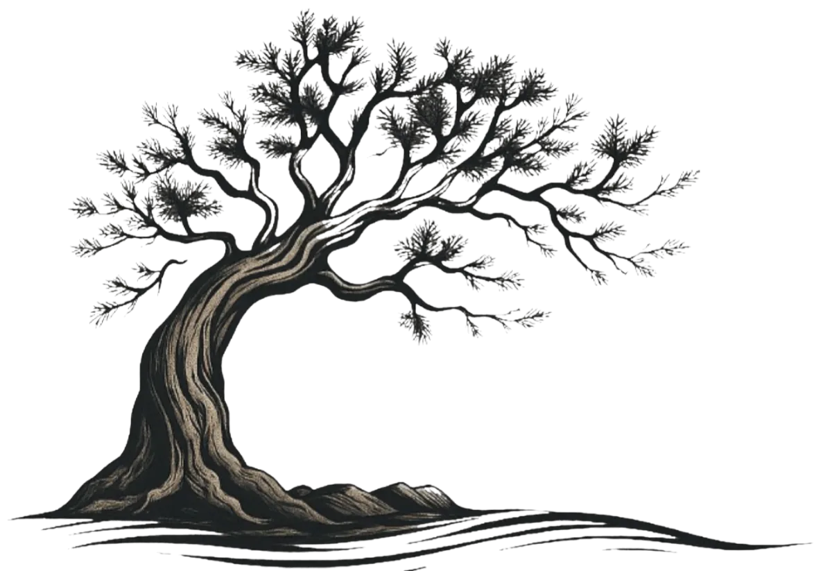 Cedar Creek Massage & Wellness Logo