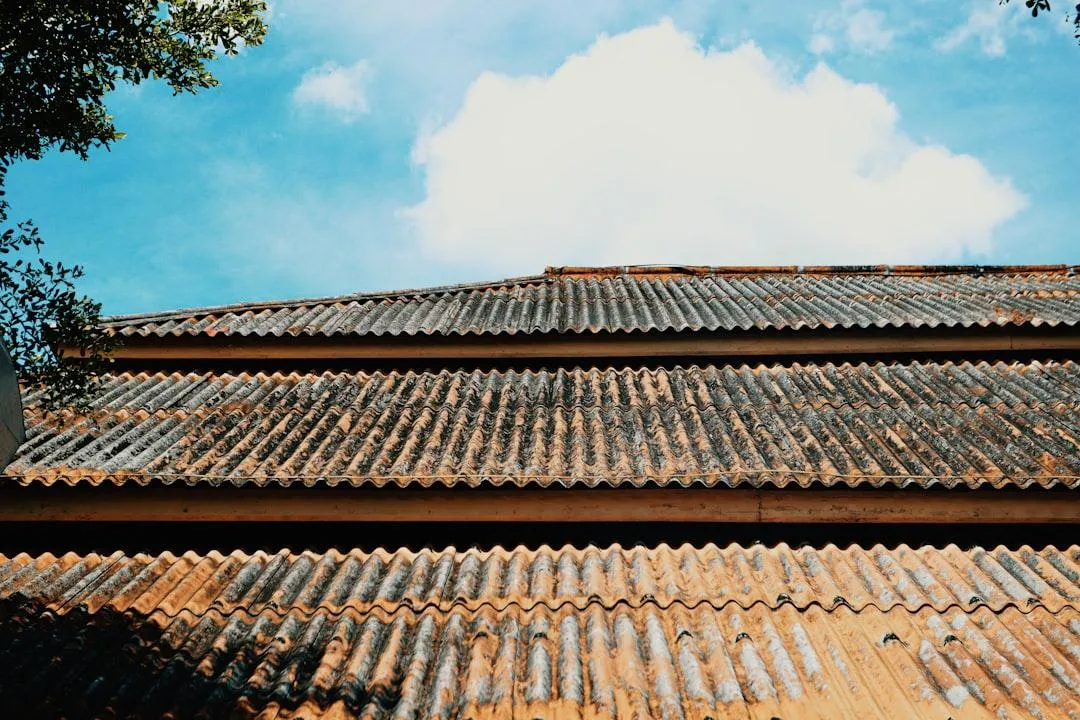 terracotta tile roof covered in mould
